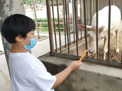 -石家庄市动物园