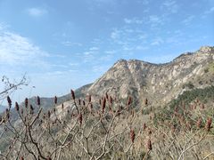 -鲁山国家森林公园