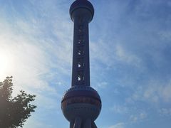 -小杨生煎(周浦万达店)