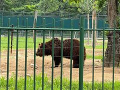 -秦皇岛野生动物园