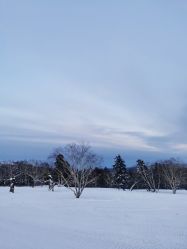-大秃顶子山