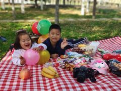 -大兴滨河森林公园