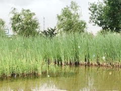 -永定河休闲森林公园