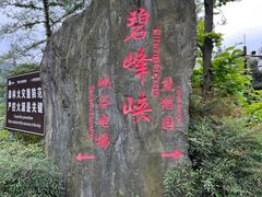-碧峰峡风景区