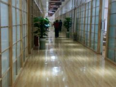 -世界恐龙谷景区