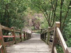 -广州白江湖森林公园