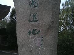 -溱湖国家湿地公园