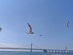 -星海广场