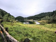 -武陵山森林公园