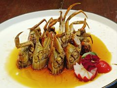 -田园居·佳宴(桑田路店)