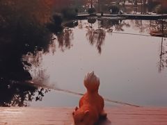 -云溪植物园