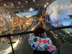-中国西峡恐龙遗迹园