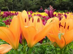 -长春公园(普阳街道)