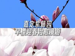 -嘉定紫藤园