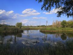 -野鸭湖国家湿地公园