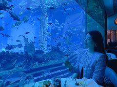 -亚特兰蒂斯•OSSIANO奥西亚诺海底餐厅