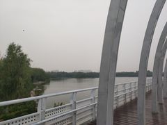 -大兴滨河森林公园