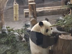-济南野生动物世界