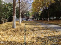 -江南大学(蠡湖校区)