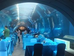-海棠湾洲际-涛·海底餐厅·美人鱼·自助餐·海底隧道