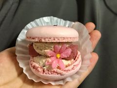 -好利来(熙地港店)