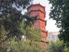 -房湖公园