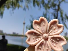 -中央广播电视塔