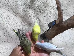-上海大自然野生昆虫馆