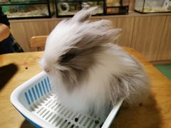 -藦茜花园宠物主题亲子互动体验馆(国顺东路店)