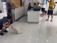 -美联众合动物医院·24h京西诊疗中心