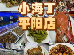 -小海丁