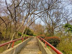 -南京市江宁方山