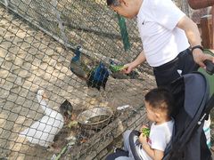 -北京鹿世界主题园