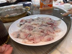-港升鱼师傅·中山脆肉鲩