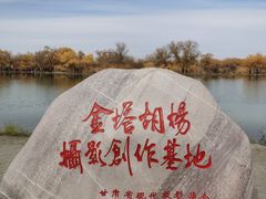 -金塔沙漠胡杨林景区