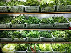 -黔府豆米火锅野菜馆(南马店)