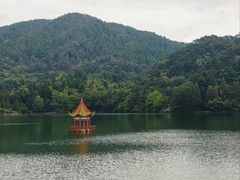 -庐山风景区花径公园