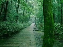 -宋宴(虎跑店)