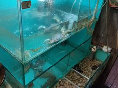 水产区-小时候焗海鲜(鄞州万达店)