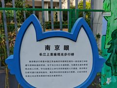 -南京眼步行桥