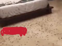 -三亚海棠湾万丽度假酒店