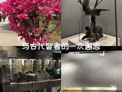-荆州博物馆