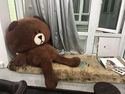-山浦形象烫染
