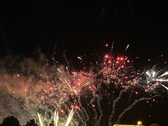-花博汇(知音花月夜)