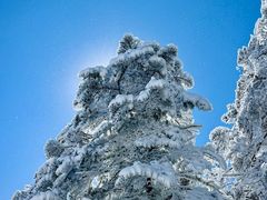 -西岭雪山大飞水景区