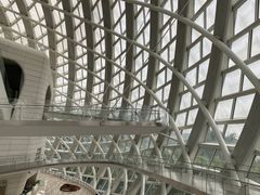 -凤凰中心