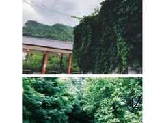 -龙峪湾国家森林公园