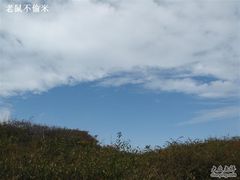 -王顺山国家森林公园