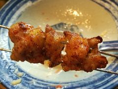 烤掌中宝-北三老太太烧烤(人生一串上榜店)