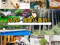 -莫干山风景区